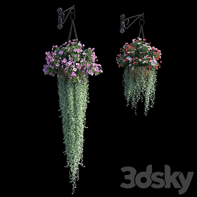 Set of plants No. 2 (balsamine + dichondra) 3DS Max Model - thumbnail 2