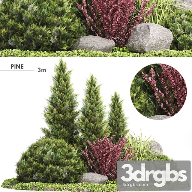 Set plants 223 – outdoor garden - thumbnail 1