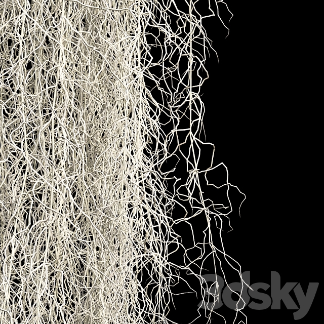 Spanish moss 3ds Max - thumbnail 2