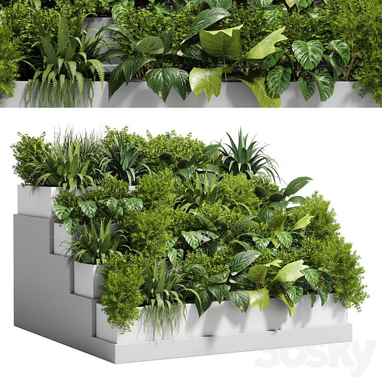 Stairs plant – Collection outdoor indoor plant 78 concrete vase pot fern bush grass 3DS Max Model - thumbnail 3