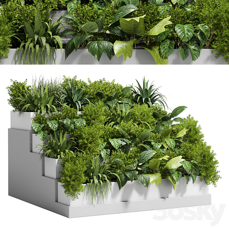 Stairs plant – Collection outdoor indoor plant 78 concrete vase pot fern bush grass 3DS Max - thumbnail 1