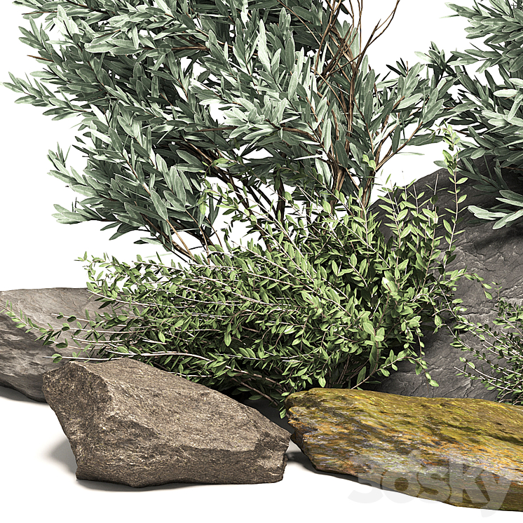 Stone + Bush Pack 7 3DS Max - thumbnail 2