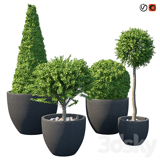 Street bushes in pots IV 3ds Max - thumbnail 1