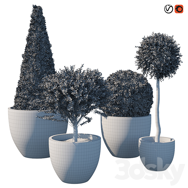 Street bushes in pots IV 3ds Max - thumbnail 3