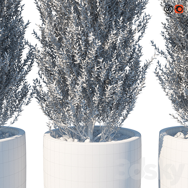 Street bushes in pots VI 3DS Max Model - thumbnail 3