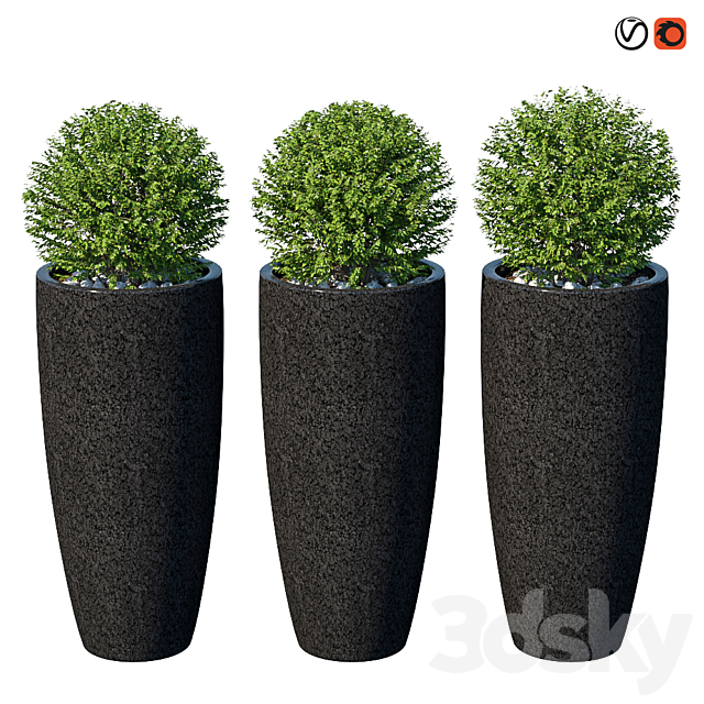 Street bushes in pots VIII 3ds Max - thumbnail 1