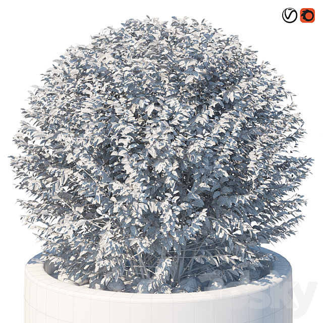 Street bushes in pots VIII 3ds Max - thumbnail 3