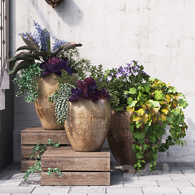 Summer in pots 3DSMax File - thumbnail 1