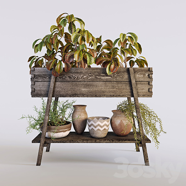 Terrace plants 3 3ds Max - thumbnail 1