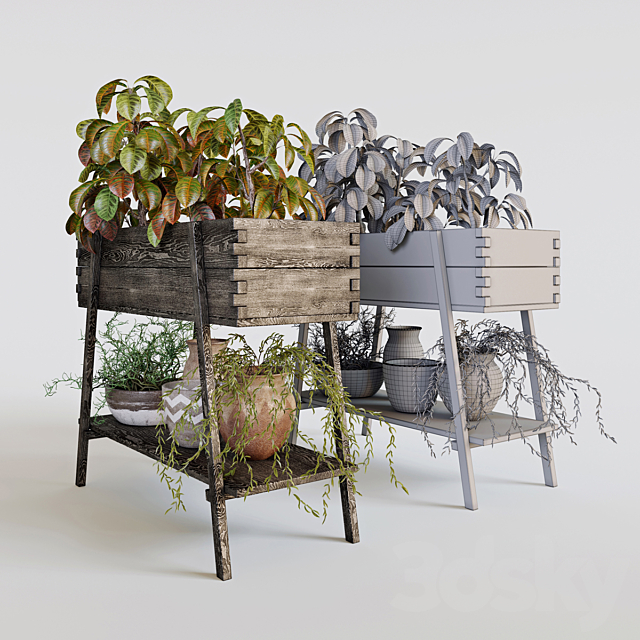 Terrace plants 3 3ds Max - thumbnail 3