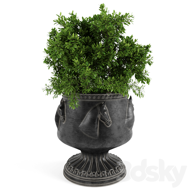 The bush in a flowerpot 3DSMax File - thumbnail 1