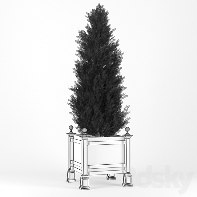 Thuja_3 3DSMax File - thumbnail 2