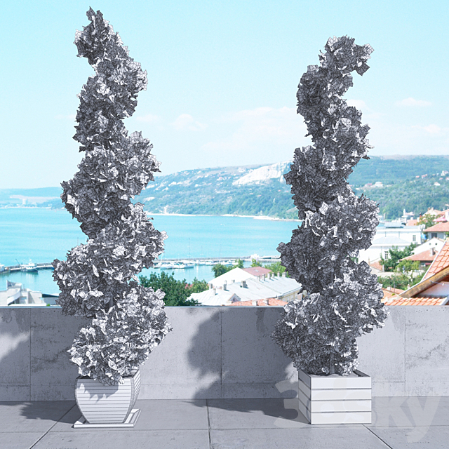 Thuja_plicata_001 3ds Max - thumbnail 3