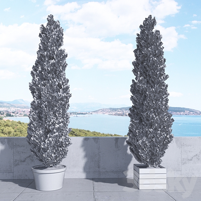 Thuja_plicata_002 3DSMax File - thumbnail 3