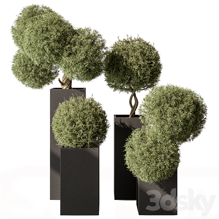 Topiary Plant in Box – Outdoor Plants 445 3DS Max Model - thumbnail 1