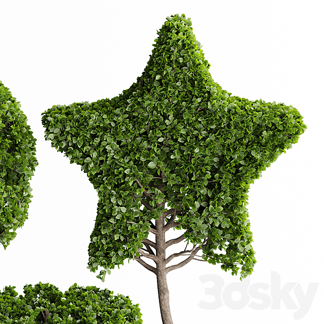 Topiary Trees 001 3DS Max Model - thumbnail 2