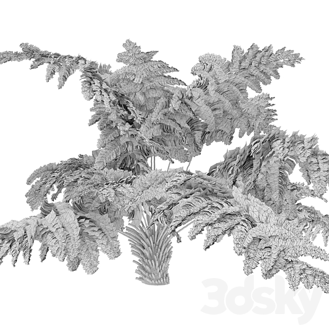 tree fern 04 3DS Max Model - thumbnail 5