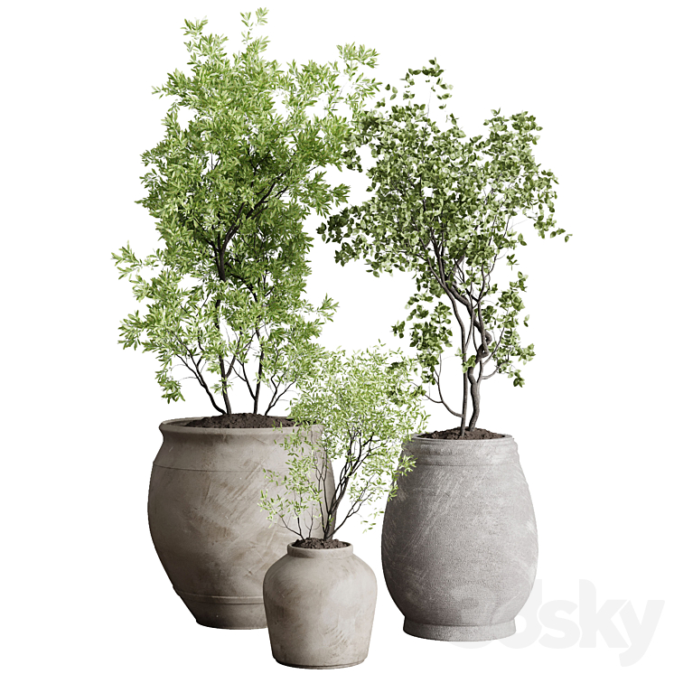 Tree in an Old Earthenware Vase Outdoor Collection 104 3DS Max - thumbnail 1