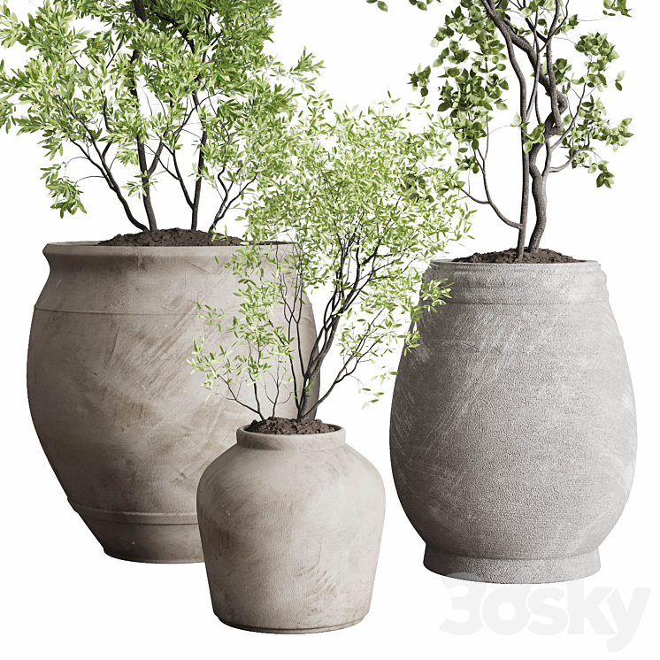 Tree in an Old Earthenware Vase Outdoor Collection 104 3DS Max - thumbnail 2