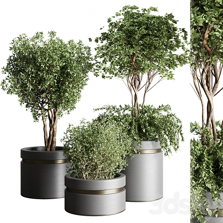 Tree pots and shrubs-bush collection 74 metal vase for outdoor indoor 3DS Max Model - thumbnail 3
