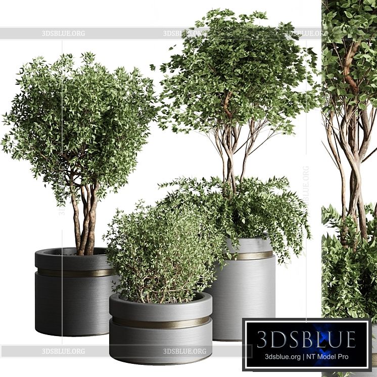 Tree pots and shrubs-bush collection 74 metal vase for outdoor indoor 3DS Max - thumbnail 3