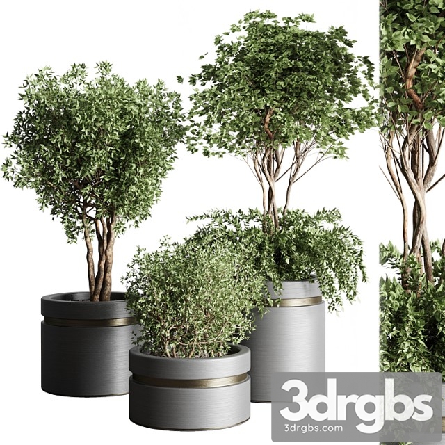 Tree Pots and Shrubs Bush Collection 74 Metal Vase For Outdoor Indoor 3dsmax Download - thumbnail 1