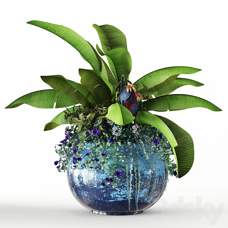 Tropical Symphony 3DS Max - thumbnail 2