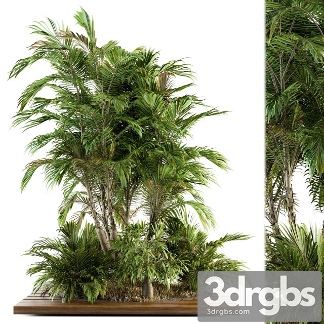 Tropical Tree  Garden Set 05 3dsmax Download - thumbnail 1