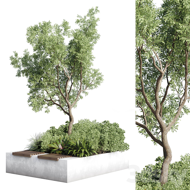 Urban Environment – Urban Furniture – Green Benches – Collection Plants and Tree 11 3DS Max Model - thumbnail 1