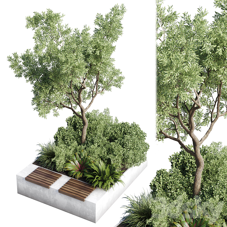 Urban Environment – Urban Furniture – Green Benches – Collection Plants and Tree 11 3DS Max Model - thumbnail 2