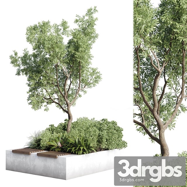 Urban environment – urban furniture – green benches – collection plants and tree 11 - thumbnail 1