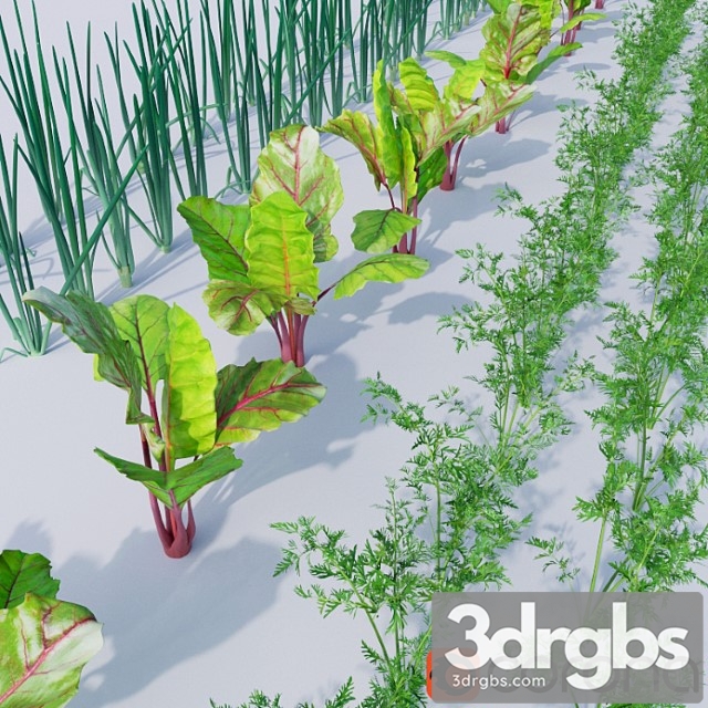 Vegetable Garden 1 3dsmax Download - thumbnail 1