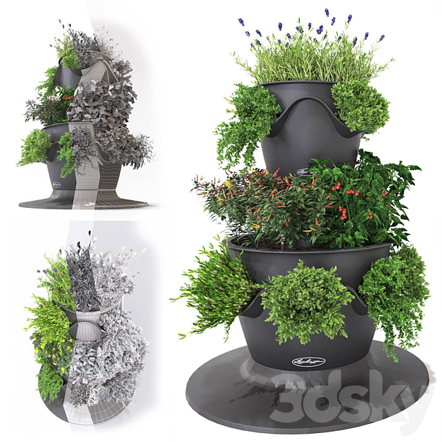 Vegetables and herbs (Lechuza set) 3ds Max - thumbnail 1