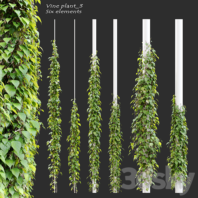 Vine plant_3 3DSMax File - thumbnail 1