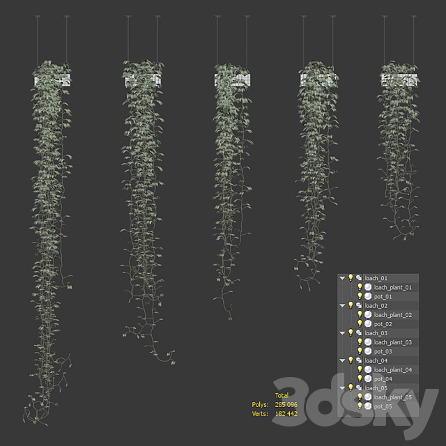 Viun in hanging pots. 5 models 3DS Max Model - thumbnail 3