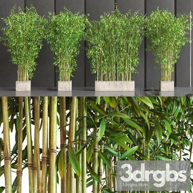 Wall Bamboo Set 3dsmax Download - thumbnail 1