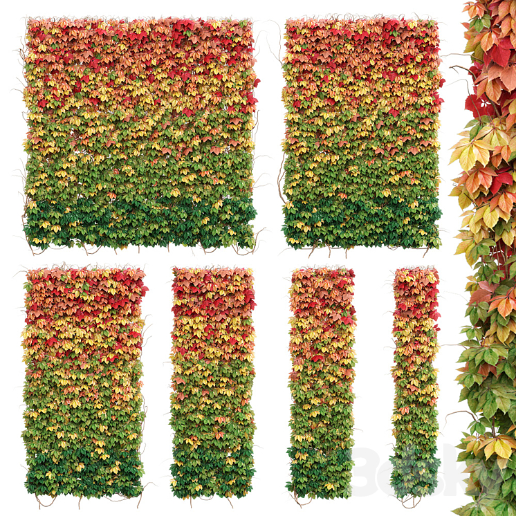 Wall from autumn leaves. Set of 6 models 3DS Max - thumbnail 1