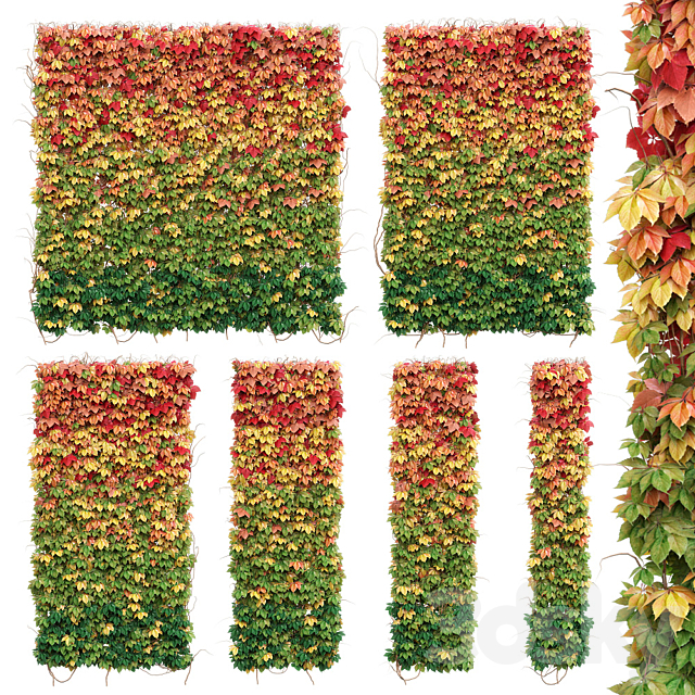 Wall from autumn leaves. Set of 6 models 3DSMax File - thumbnail 1