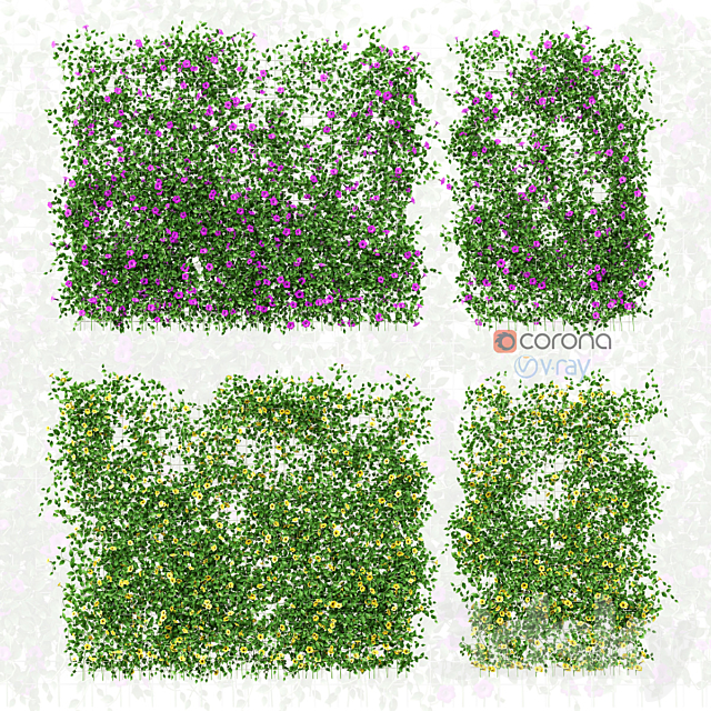 Wall of flowers on the grid 3DSMax File - thumbnail 1