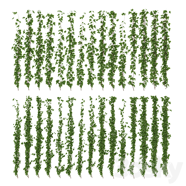 Wall of ivy leaves 3ds Max - thumbnail 1