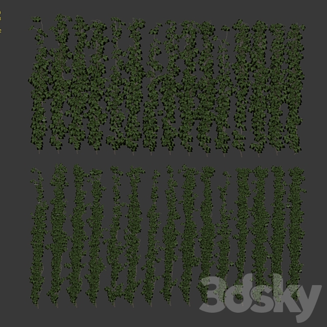 Wall of ivy leaves 3ds Max - thumbnail 3