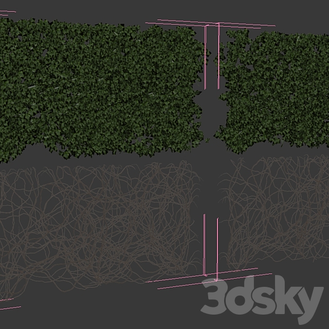 Wall of ivy leaves 3DSMax File - thumbnail 3