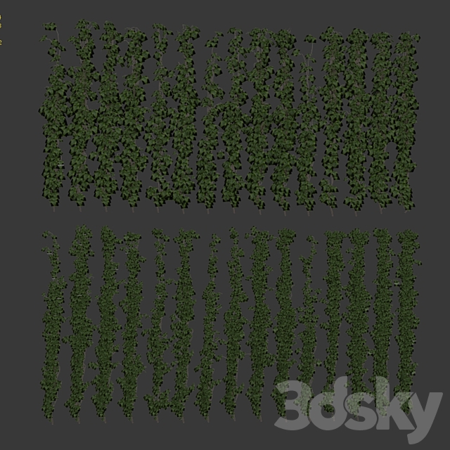 Wall of ivy leaves 3DSMax File - thumbnail 3