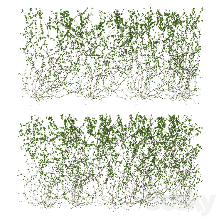 Wall of ivy leaves v3 3DS Max - thumbnail 1