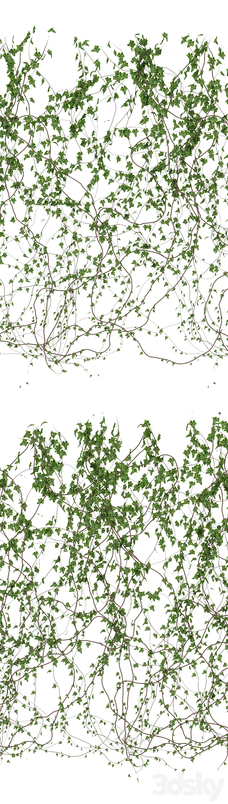 Wall of ivy leaves v3 3DS Max - thumbnail 2