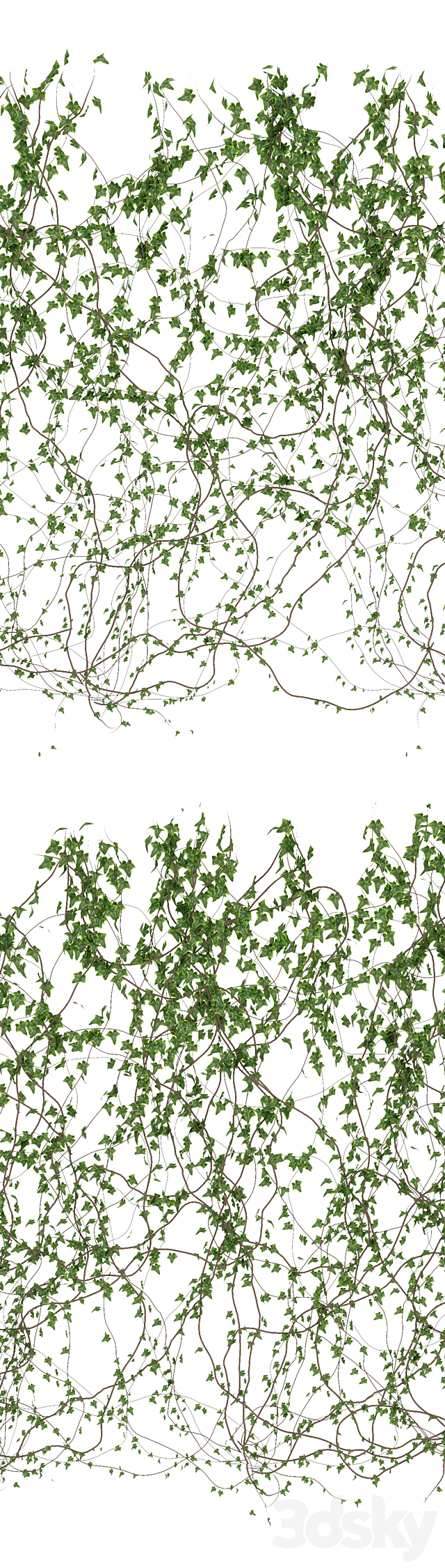 Wall of ivy leaves v3 3DSMax File - thumbnail 2