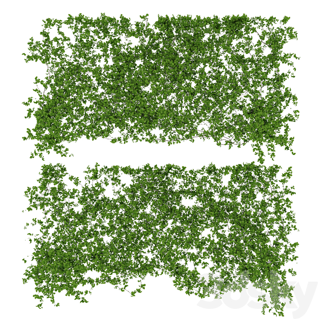 Wall of leaves 3DSMax File - thumbnail 1