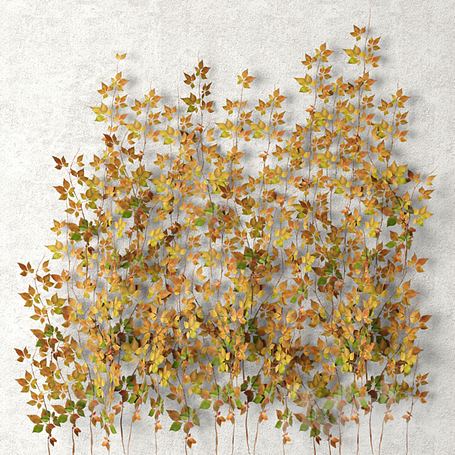 Wall of leaves hanging plants leaf autumn vine leaves 3ds Max - thumbnail 1