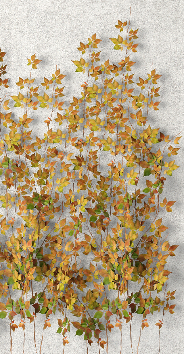 Wall of leaves hanging plants leaf autumn vine leaves 3ds Max - thumbnail 2