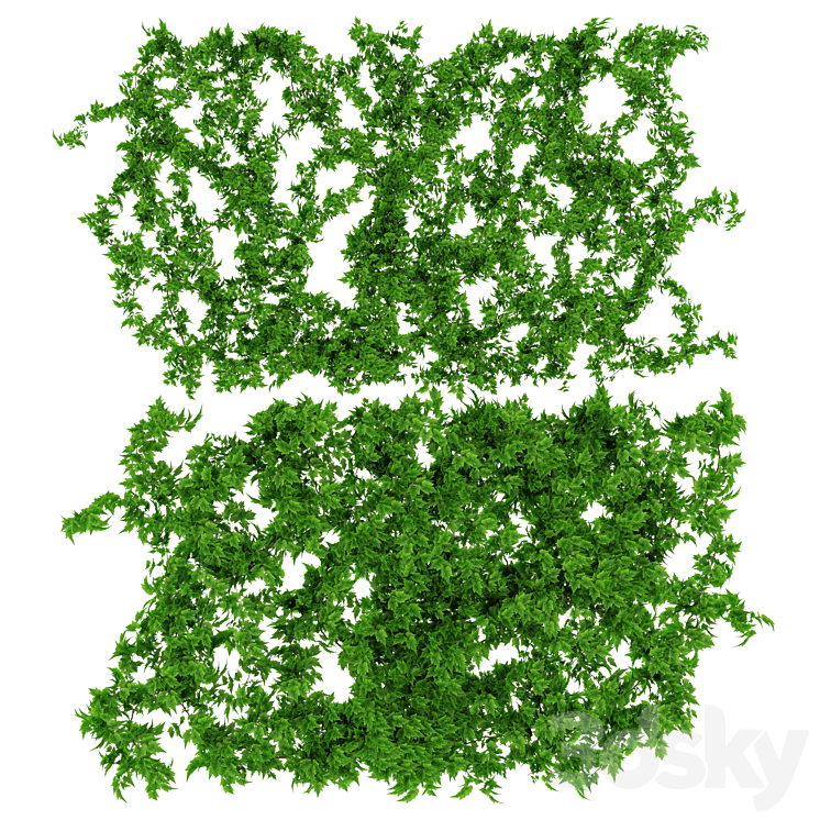 Wall of vine leaves 3DS Max - thumbnail 1